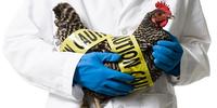 The 4 Key Parts of a Biosecurity Plan