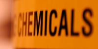 Researchers Find New Risks in Low-Dose Chemical Exposure