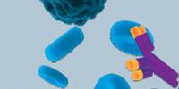 Perspective On: A Drug Discovery Lab