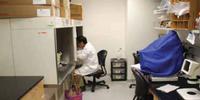 Perspective On: A Cell Culture Lab