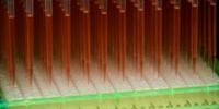 High Throughput Screening of Cellular Bioenergetics