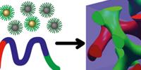 Nanoparticle Networks' Design Enhanced by Theory