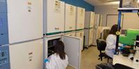 Perspective On: A Cell Culture Lab