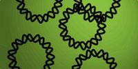 Brain Tumor Cells Penetrated by Tiny, Biodegradable Particles Carrying Genetic Instructions