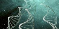 A New Way to Model Cancer