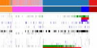 Largest Cancer Genetic Analysis Reveals New Way of Classifying Cancer