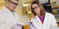 Platelet-Like Particles Augment Natural Blood Clotting for Treating Trauma