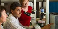 Findings Point to an 'Off Switch' for Drug Resistance in Cancer
