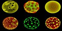 Scientists Create Possible Precursor to Life