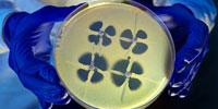 The Dwindling Stock of Antibiotics, and What to Do About It