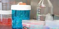 Perspective On: A Cell Culture Lab