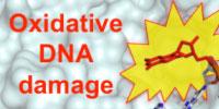 Scientists Determine How Environment Contributes to Several Human Diseases