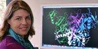 Volunteers Can Now Help Scientists Seek Ebola Cure in Their (Computer's) Spare Time