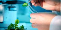 E-WorkBook: Bringing the Electronic Lab to Biofuels and Biochemicals Production