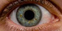 Restoring Vision to the Blind