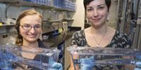Scientists Find Gene Vital to Central Nervous System Development