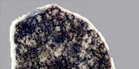 Scientists Discover Organism that hasn’t Evolved in More than 2 Billion Years
