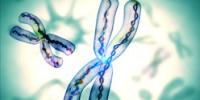 We’re All Going to Die; DNA Strands on the End of Our Chromosomes Hint When
