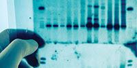 Imaging Systems for Biology: Responding to Multidisciplinary Needs