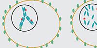 INSIGHTS on Developing Antibody-Drug Conjugates