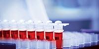 INSIGHTS on Sports Doping