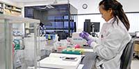 INSIGHTS on Big Data in Drug Discovery