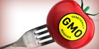 INSIGHTS on GMO Detection