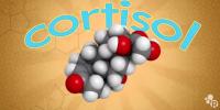 The Science of Stress (video)