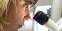Diabetes Drug Found in Freshwater is Potential Source of Intersex Fish