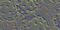 Pollen Prevails as JEOL Names Spring Image Contest Winners