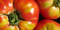 Study: New Information Changes Few Opinions on GMOs, Global Warming