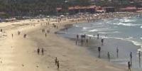 The Science Behind the Smell of the Sea