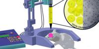 Gene Therapy Advance Thwarts Brain Cancer in Rats