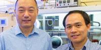 New Molecular Butterflies Help Advance Energy Research