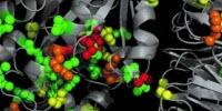 SAPH-ire Helps Scientists Prioritize Protein Modification Research
