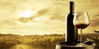 The Chemistry of Wine (video)