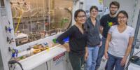 Cellular Contamination Conundrum Solved