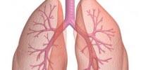 What’s Lurking in Your Lungs?