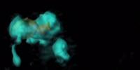 All About Zombie Cells
