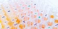 Adapting to the Needs of Cell-Based Assays