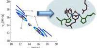 Application of New Spectroscopy Method to Capture Reactions in Photosynthesis