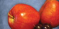 INSIGHTS on Pesticide Analysis