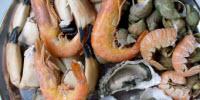 Nearly Half of U.S. Seafood Supply Is Wasted