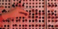 Cancer Research Plagued by Poor Study Design