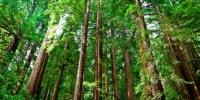 Experts Release Report with Solutions to Slow Climate Change
