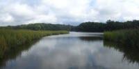 Field Widens for Environments, Microbes that Produce Toxic Form of Mercury