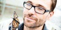 Fungi at Root of Plant Drugs that Can Help, or Harm, Sick Monarch Butterflies