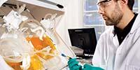 INSIGHTS on Biopharmaceuticals: Single-Use Bioprocessing