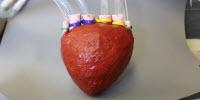 Video: Cornell Researchers Create Artificial Foam Heart