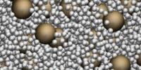 Large-Scale Modeling Shows Confinement Effects on Cell Macromolecules